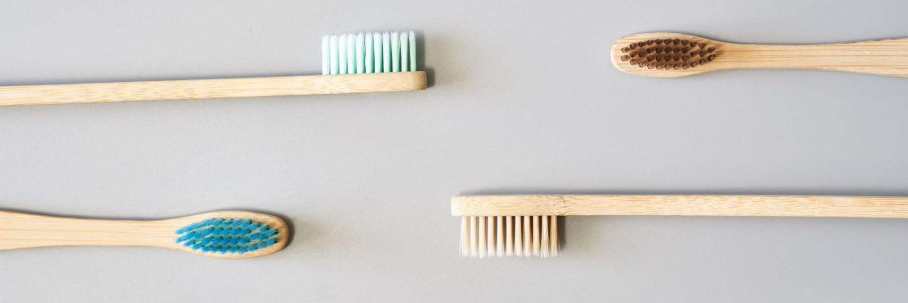 toothbrushes 