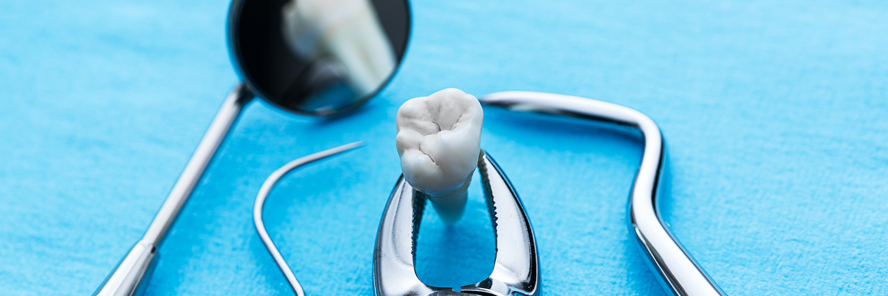 Extracted tooth held in dental forceps beside a mouth mirror and explorer on a blue surface